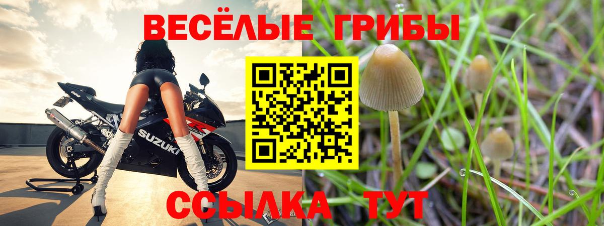 Североуральск  Псилоцибиновые грибы ЛСД  Вход с VPN 